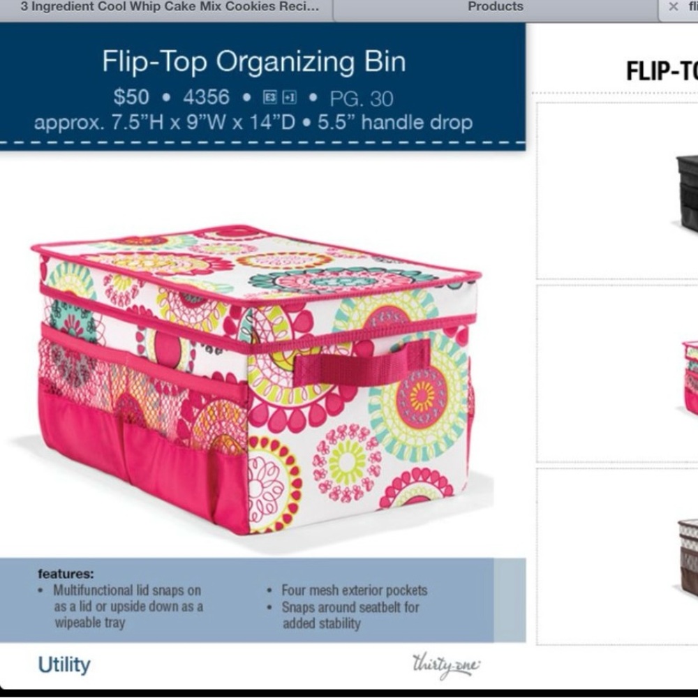 31 Flip Top Organizing Bin BNWT